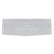 Valentino Cummerbund